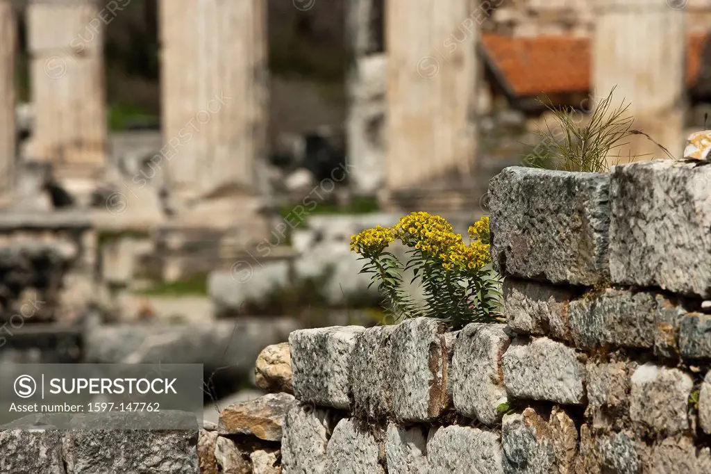 Aphrodisias, Aphrodite, Aphrodite temple, excavation, fragment, history, marble, province Aydin, ruins, ruins, column, columns, temples, Aphrodite, Tu...