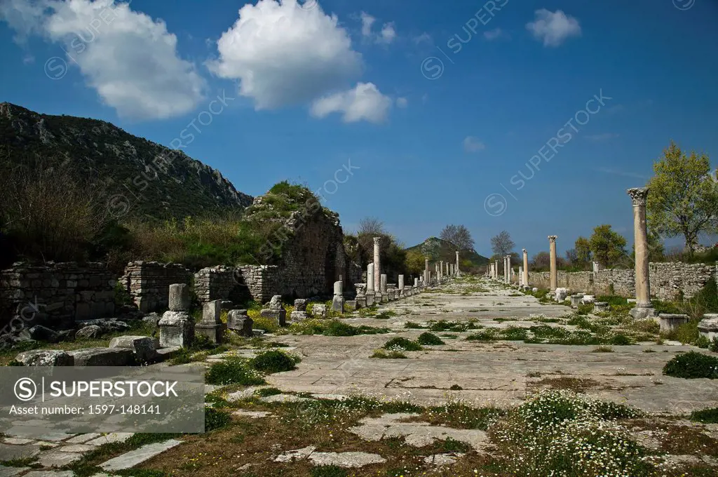 Excavation, excavation site, building, Ephesos, Ephesus, harbour, port, Hafenstrasse, capital, capitals, province Izmir, Roman empire, place of intere...