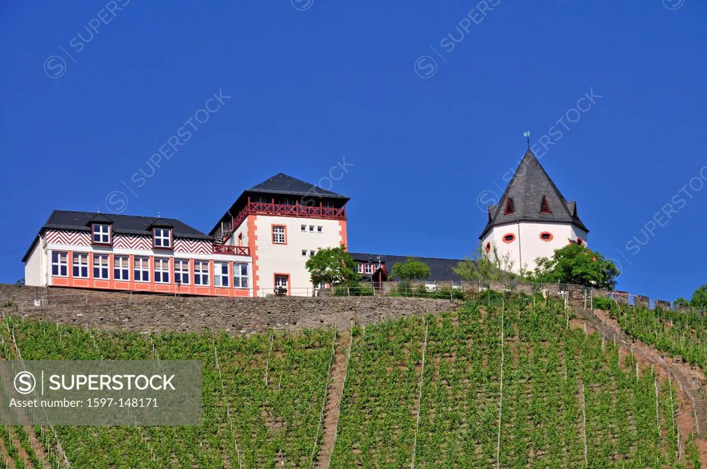 Cochem, Germany, Europe, Landkreis, district, Marienburg, Palatinate, Pünderich, Rhineland, wine, wine cultivation, wine_growing, Zell