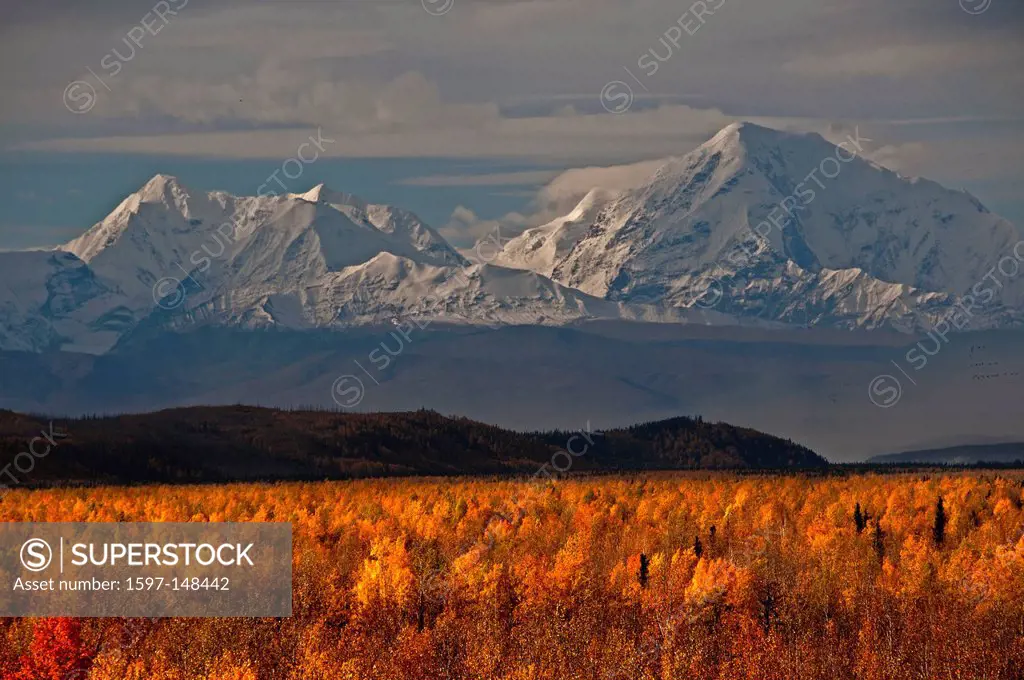 mt. Deborah, Alaska range, fall, colours, Alaska, USA, United States, America, landscape, nature