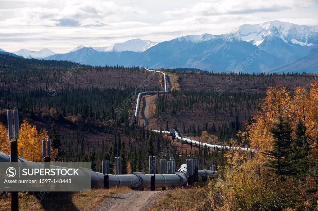 Alaska, oil, pipeline, near Denali highway, USA, United States, America, energy, infrastructure,