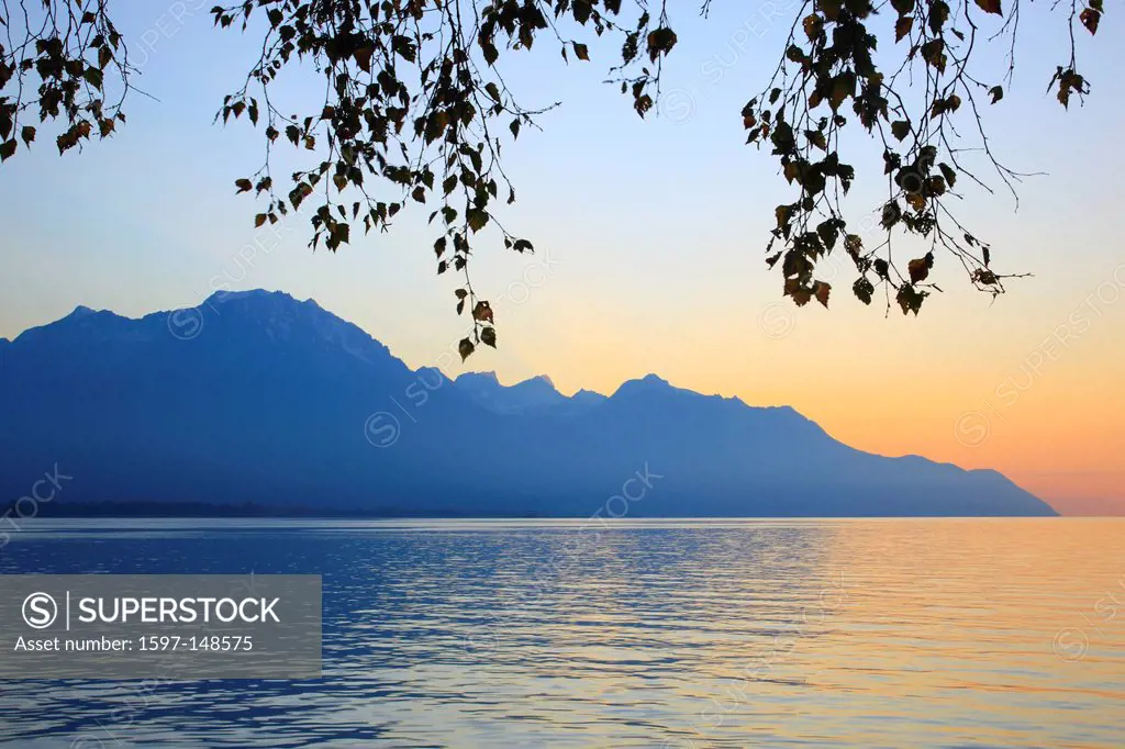Evening, dusk, evening mood, tree, leaves, Chablais, dusk, twilight, France, Lake Geneva, sky, heaven, Reflection, silhouette Switzerland, lake, silho...