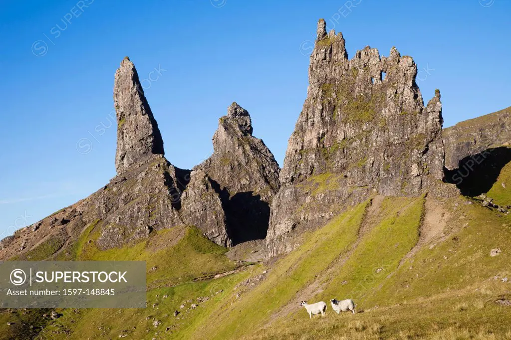 UK, United Kingdom, Europe, Scotland, Inner Hebrides, Hebrides, Isle of Skye, Skye, Old Man of Storr, Storr, Mountain, Mountains, Tourism, Travel, Hol...