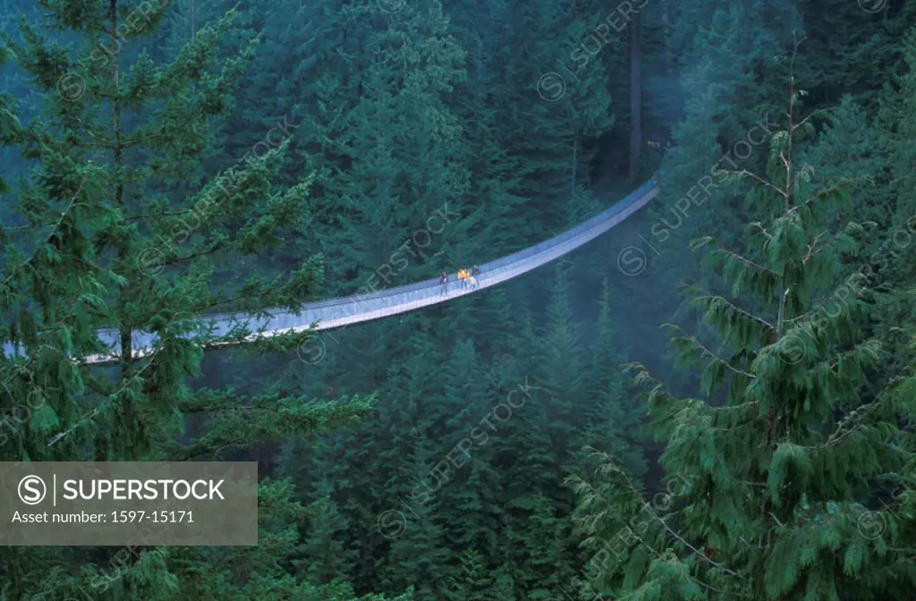adventure, bridge, British Columbia, Canada, North America, America, Capilano suspension bridge, expedition, gulch,