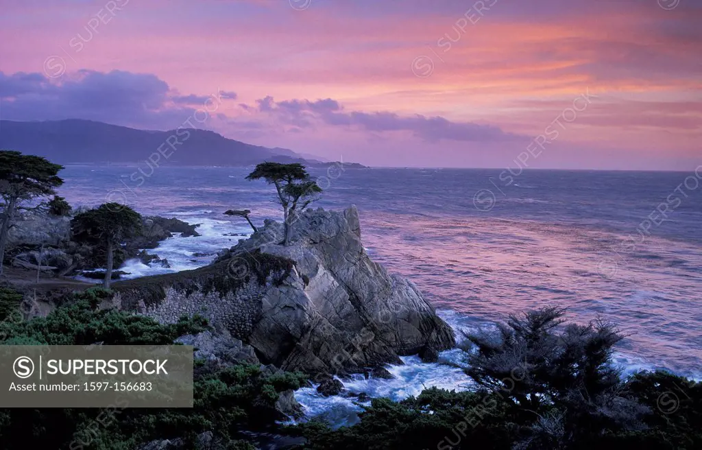 Pacific coast, Lone Cypress, 17 mile drive, Pebble Beach, Monterey Peninsula, California, USA, United States, America,