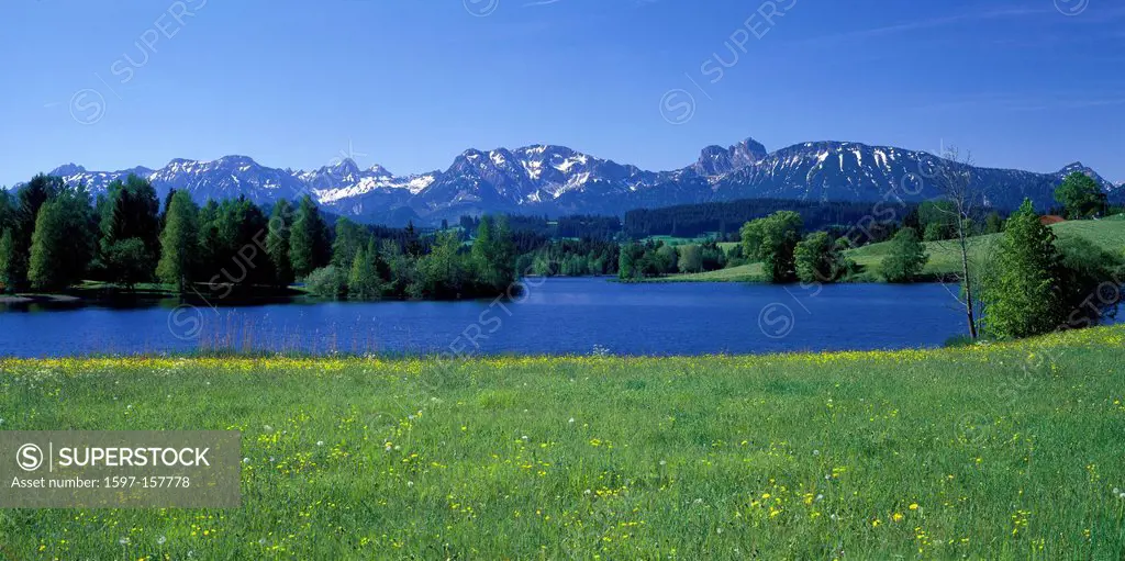 Germany, Europe, Bavaria, Allgäu, nesselwang, schwaltenweiher, tannheimer, mountains, meadow, summer, meadow, trees, mountains, foothills, Alps, panor...
