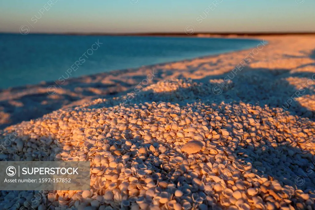 Shell Beach, L´Haridon Bight, western Australia, west coast, coast, Australia, mussels, cockles, beach, seashore, sea, bay, Peron peninsula, sunrise