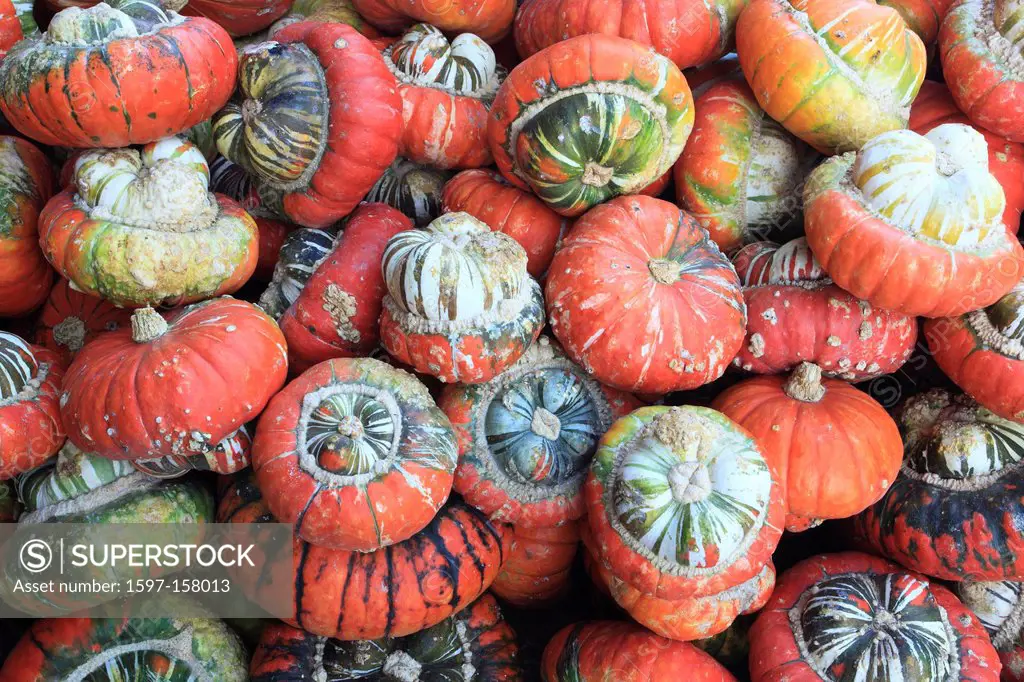 Detail, autumn, autumn color, autumn colors, pumpkin, pumpkins, litres of beer, many, Switzerland, Europe, bright, colorful, yellow, graphical, concep...