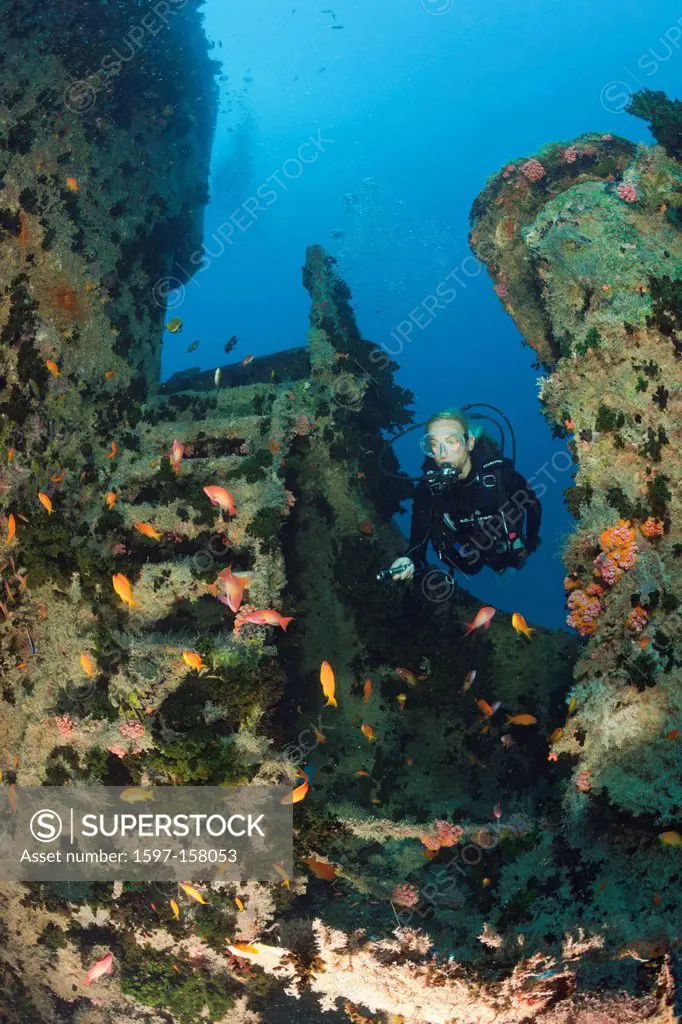 Wreck, Wrecks, Wreckdiving, Wreck diving, Wreckdive, artificial Reef, relict, reserve, shipwreck, ship, Boat, Wreckage, Hulule, Scuba diver, scuba, di...