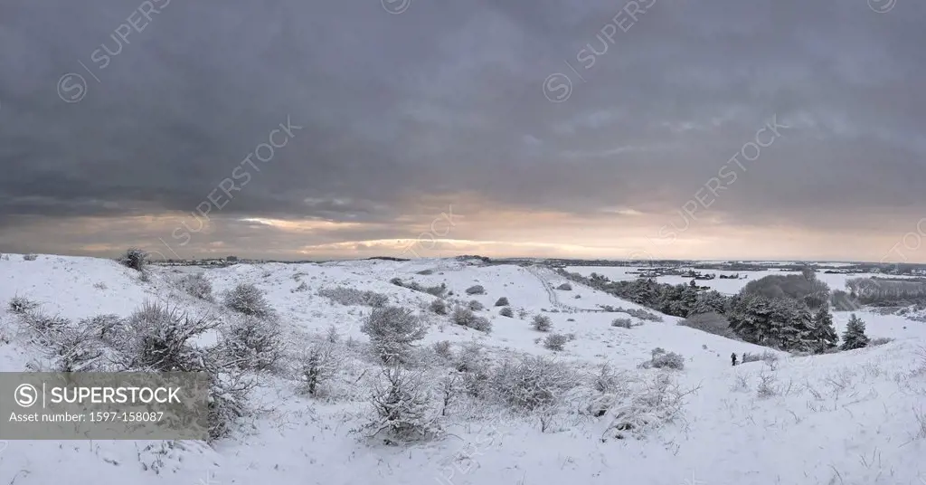 Netherlands, Holland, Europe, Egmond aan de Hoef, Landscape, Winter, Snow, Ice, dunes, landscape