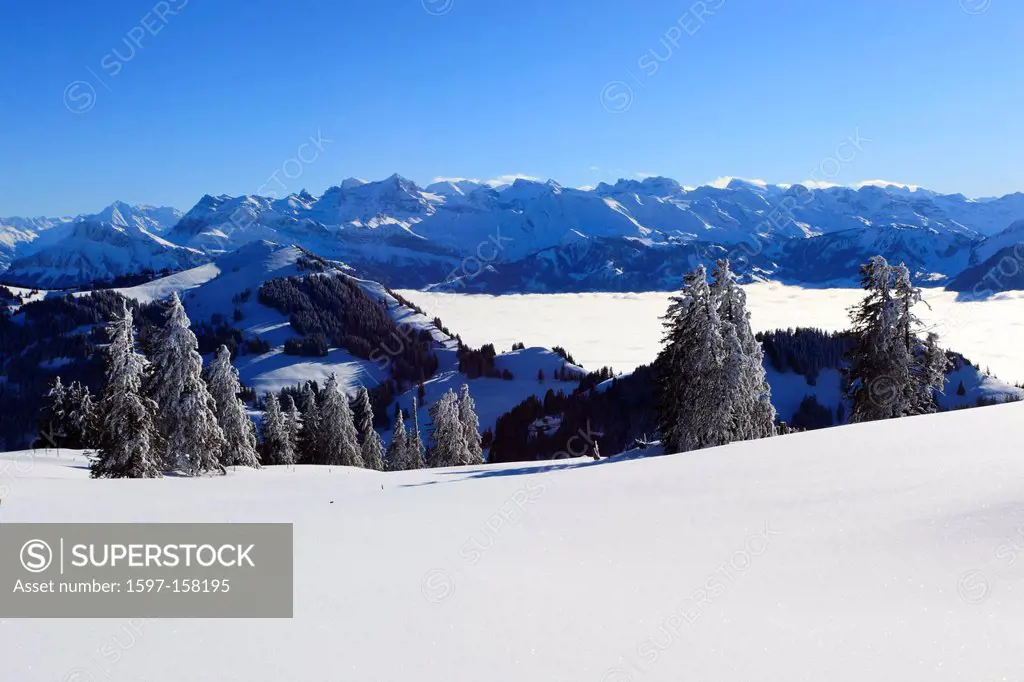 Alp, Alps, view, mountain, mountains, mountain, mountain panorama, Bernese Alps, mountains, Glarus Alps, sky, light, sea, fog, sea of fog, panorama, R...