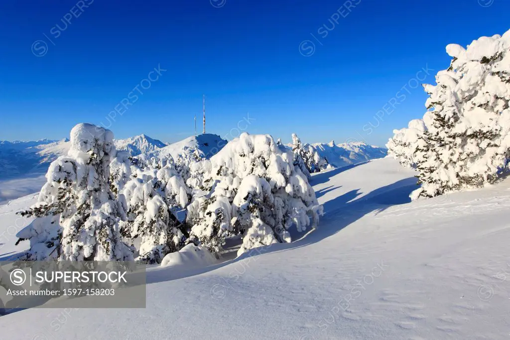 Alps, Alpine panorama, antenna, antenna tower, view, tree, mountain, mountains, mountain, mountain panorama, Bern, Bernese Alps, Bernese Oberland, tre...