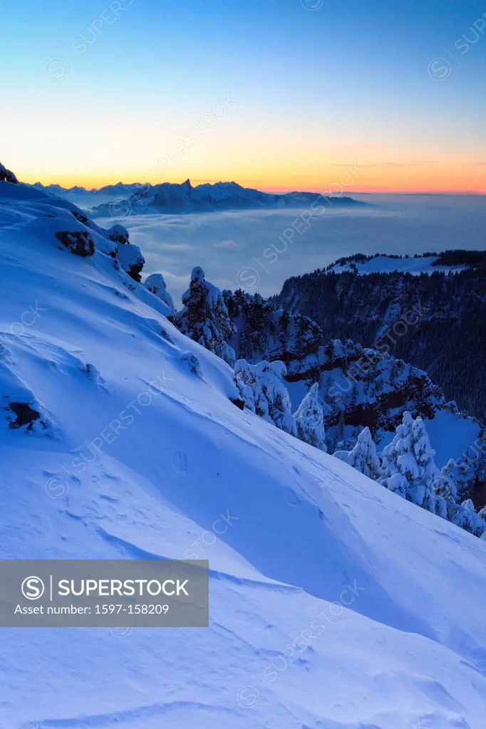 Evening, dusk, evening light, Alp, Alps, Alpine panorama, view, tree, mountain, mountains, mountain, mountain panorama, Bern, Bernese Alps, Bernese Ob...