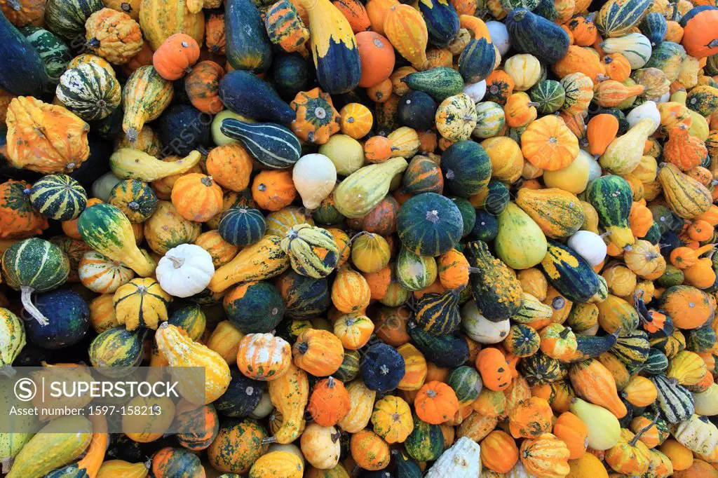 deco, decoration, detail, autumn, autumn color, autumn colors, pumpkin, pumpkins, macro, mass, many, close_up, Switzerland, Europe, Adorning, Ornament...