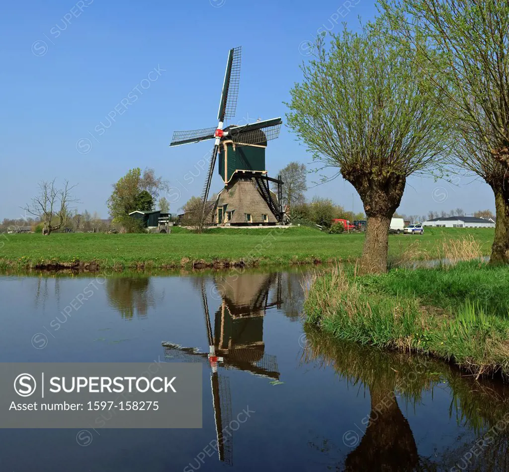 Netherlands, Holland, Europe, Kockengen, windmill, water, trees, spring, pollard, willow, Smock windmill, Smock,