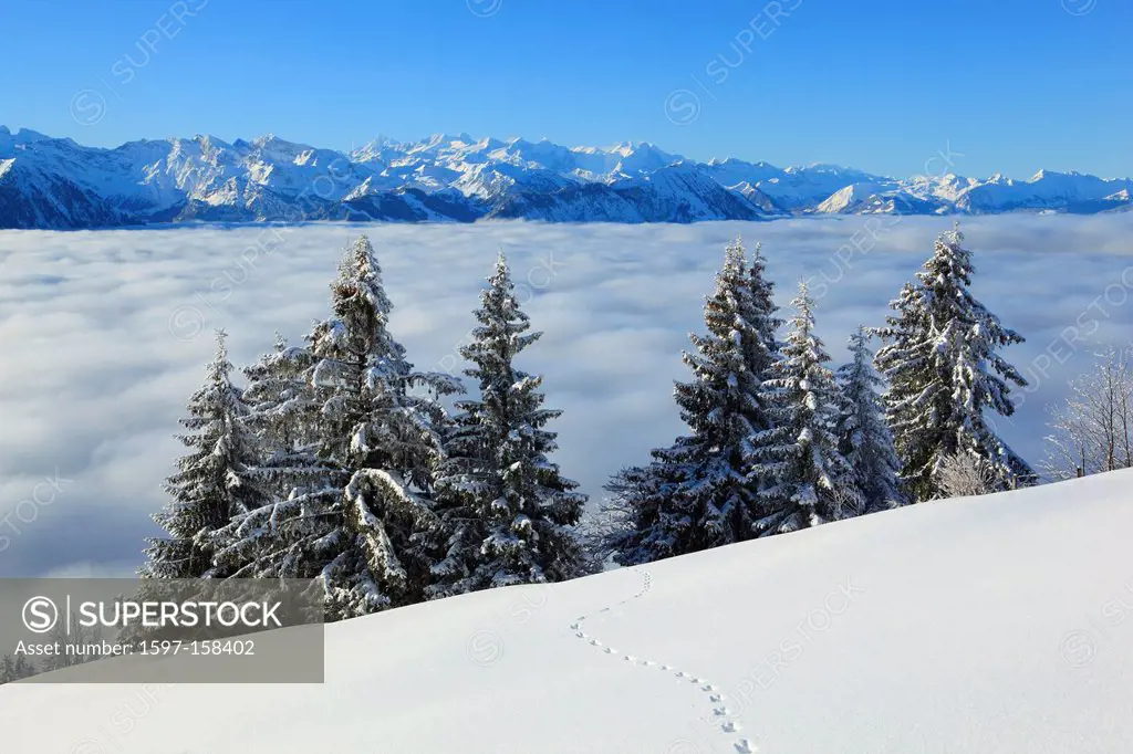 Alp, Alps, view, mountain, mountains, mountain, mountain panorama, Bernese Alps, footprints, mountains, Glarus Alps, sky, light, Lucerne, sea, fog, se...