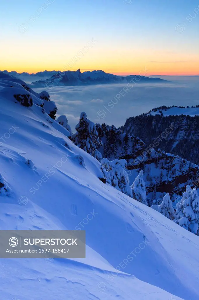 Evening, dusk, evening light, Alp, Alps, Alpine panorama, view, tree, mountain, mountains, mountain, mountain panorama, Bern, Bernese Alps, Bernese Ob...