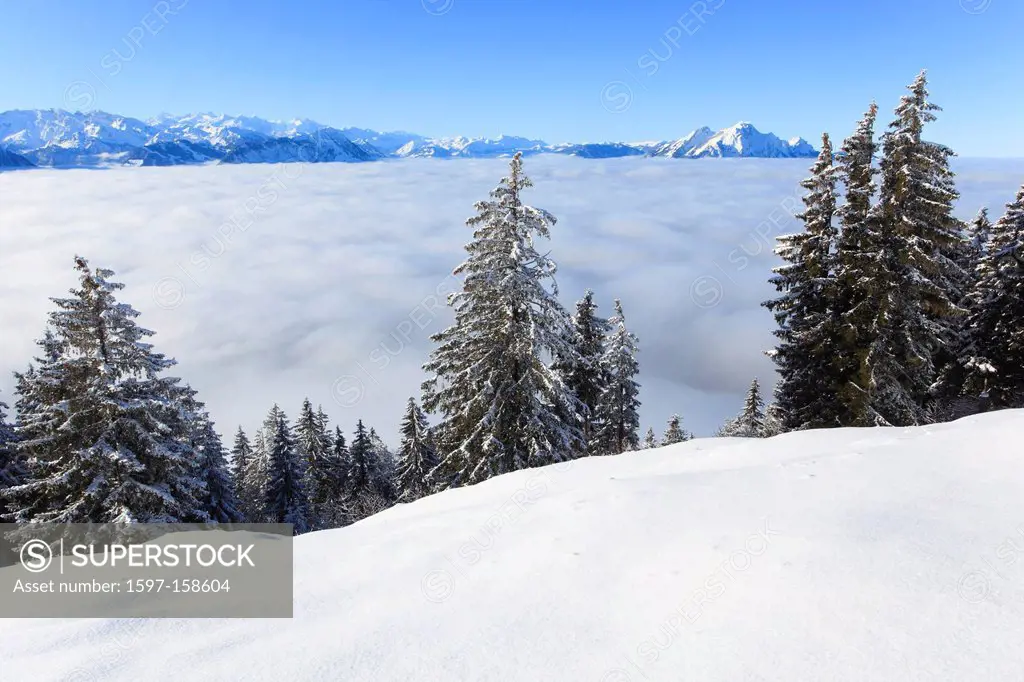 Alp, Alps, view, mountain, mountains, mountain, mountain panorama, Bernese Alps, mountains, Glarus Alps, sky, light, Lucerne, sea, fog, sea of fog, pa...