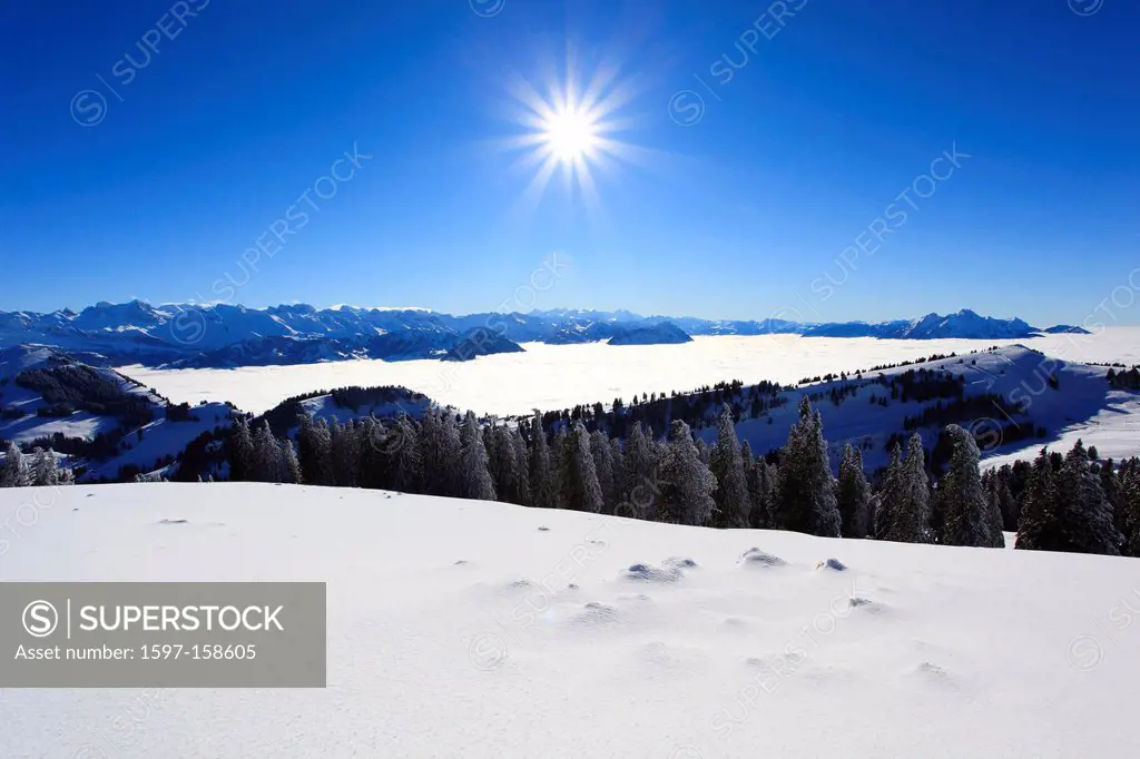 Alp, Alps, view, mountain, mountains, mountain, mountain panorama, Bernese Alps, mountains, back light, Glarus Alps, sky, light, Lucerne, sea, fog, se...