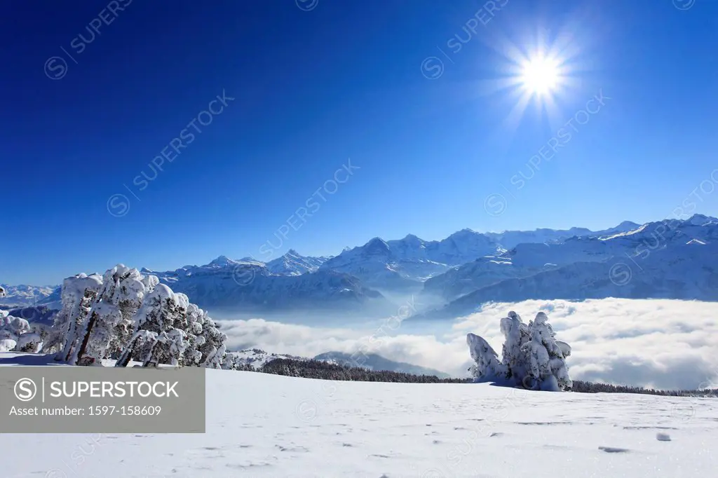 Alps, Alpine panorama, view, tree, mountain, mountains, mountain, mountain panorama, Bern, Bernese Alps, Bernese Oberland, trees, 3_stars, Eiger, ice,...