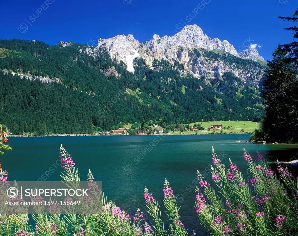 Austria, Europe, Tyrol, tannheimer valley, fresh, red Flüh, lake, mountain lake, mountains, flowers, fireweed,