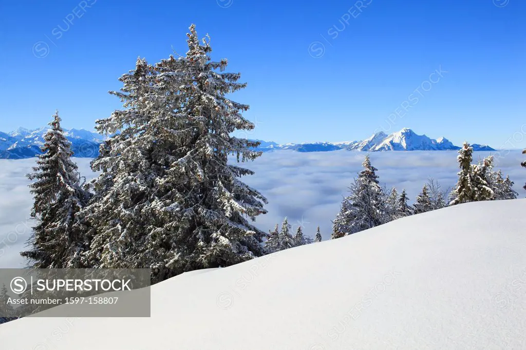 Alp, Alps, view, mountain, mountains, mountain, mountain panorama, Bernese Alps, mountains, Glarus Alps, sky, light, Lucerne, sea, fog, sea of fog, pa...