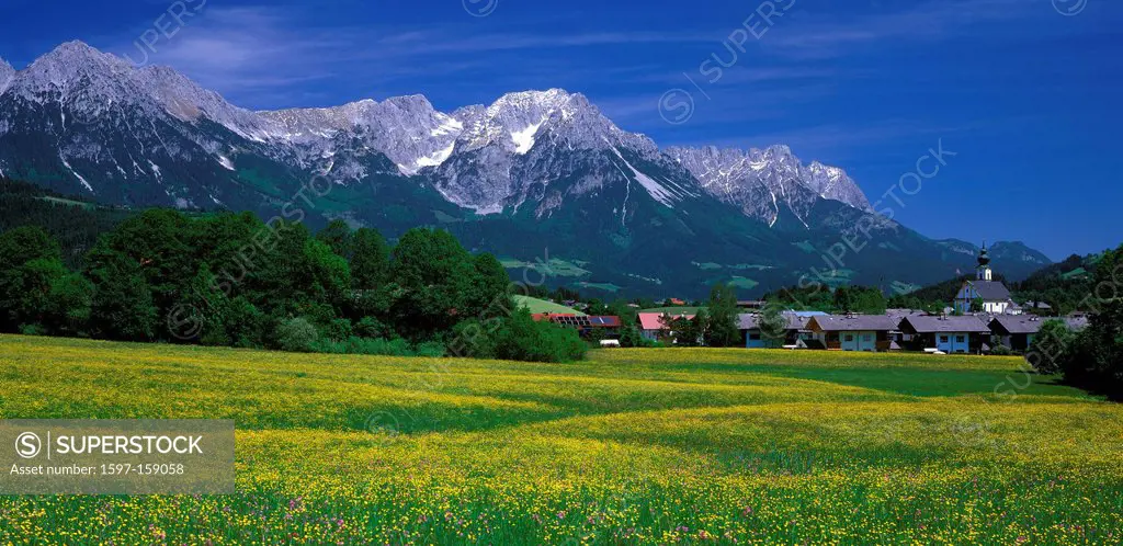 Austria, Europe, Tyrol, lowlands, Söll, mood, summer, scenery, Wilder Kaiser, meadow, yellow meadow, yellow, crowfoot, houses, homes, church, place, t...
