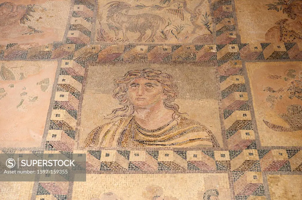 South Cyprus, Cyprus, Europe, Greek, Paphos, Pafos, excavation, excavations, excavation site, archeology, mosaic, mosaics, art, skill, piece of art, c...