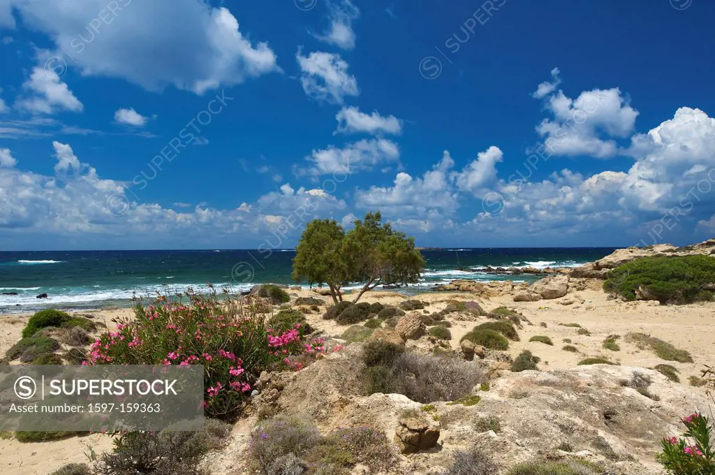 Crete, Greece, Europe, in Greek, island, isle, islands, isles, Mediterranean Sea, Europe, European, outdoors, day, sand beach, sand beaches, beach, se...