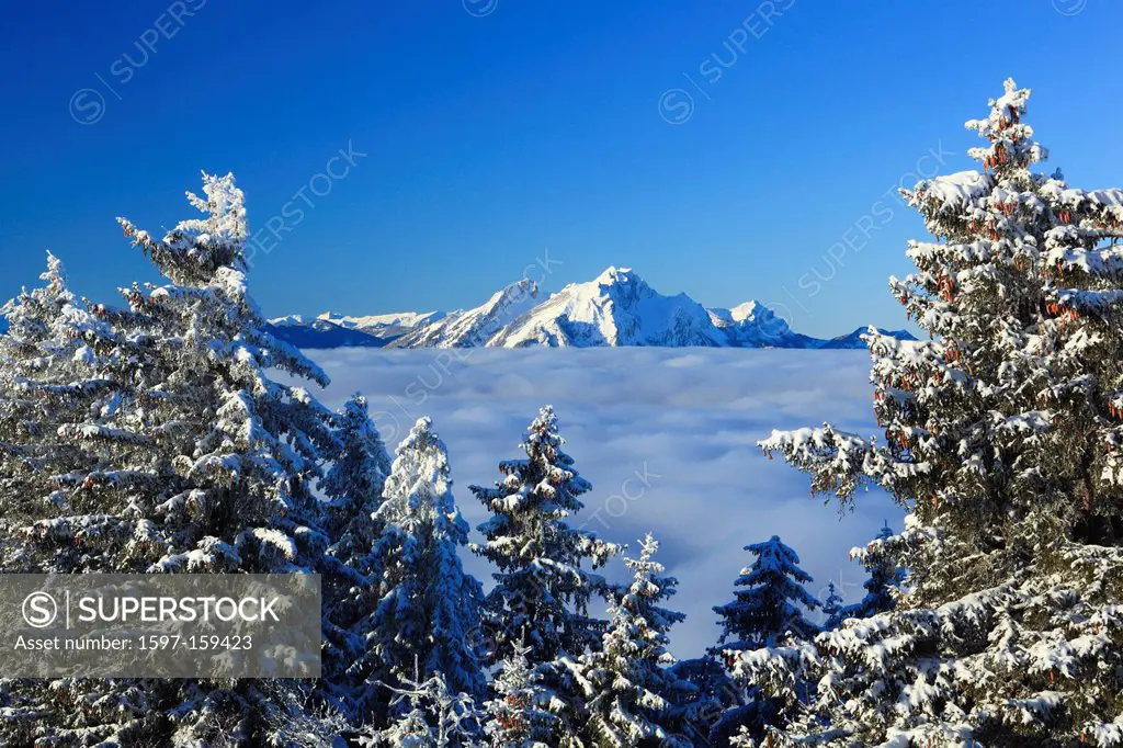 Alp, Alps, view, mountain, mountains, mountain, mountain panorama, mountains, sky, light, Lucerne, sea, fog, sea of fog, panorama, Pilatus, Rigi, snow...