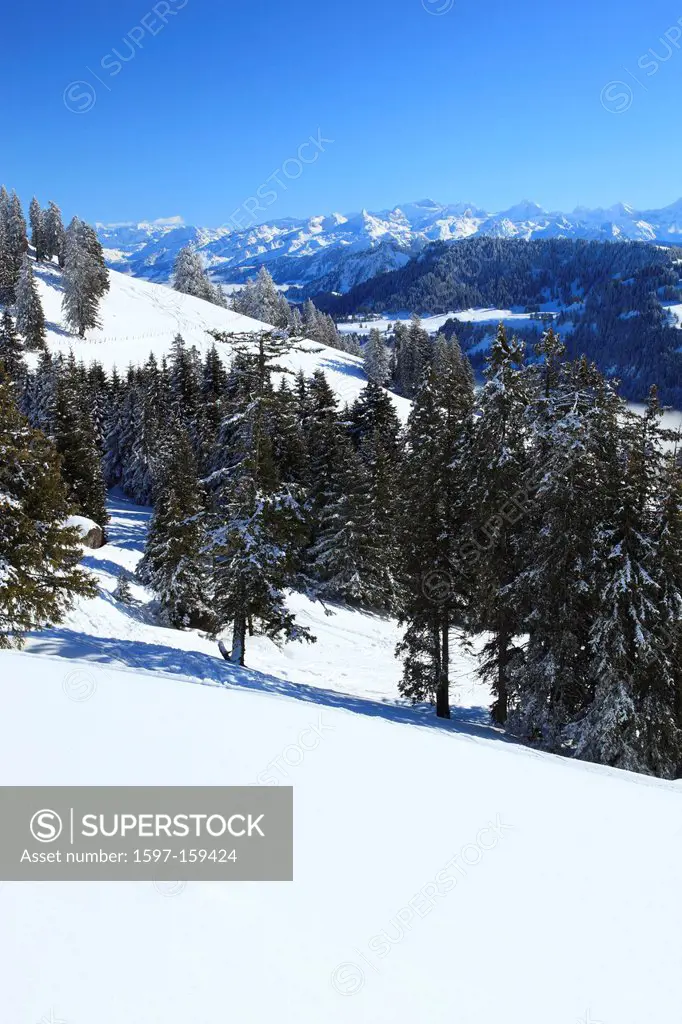 Alp, Alps, view, mountain, mountains, mountain, mountain panorama, mountains, Glarus Alps, sky, light, sea, fog, sea of fog, panorama, Rigi, snow, Swi...