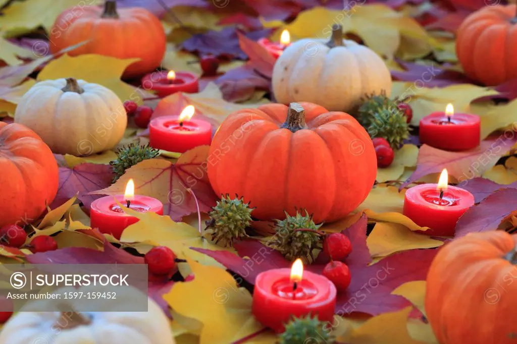 Maple, leaf, leaves, decoration, detail, Halloween, autumn, autumn color, autumn colors, autumn foliage, colouring, candle, candles, pumpkin, pumpkins...