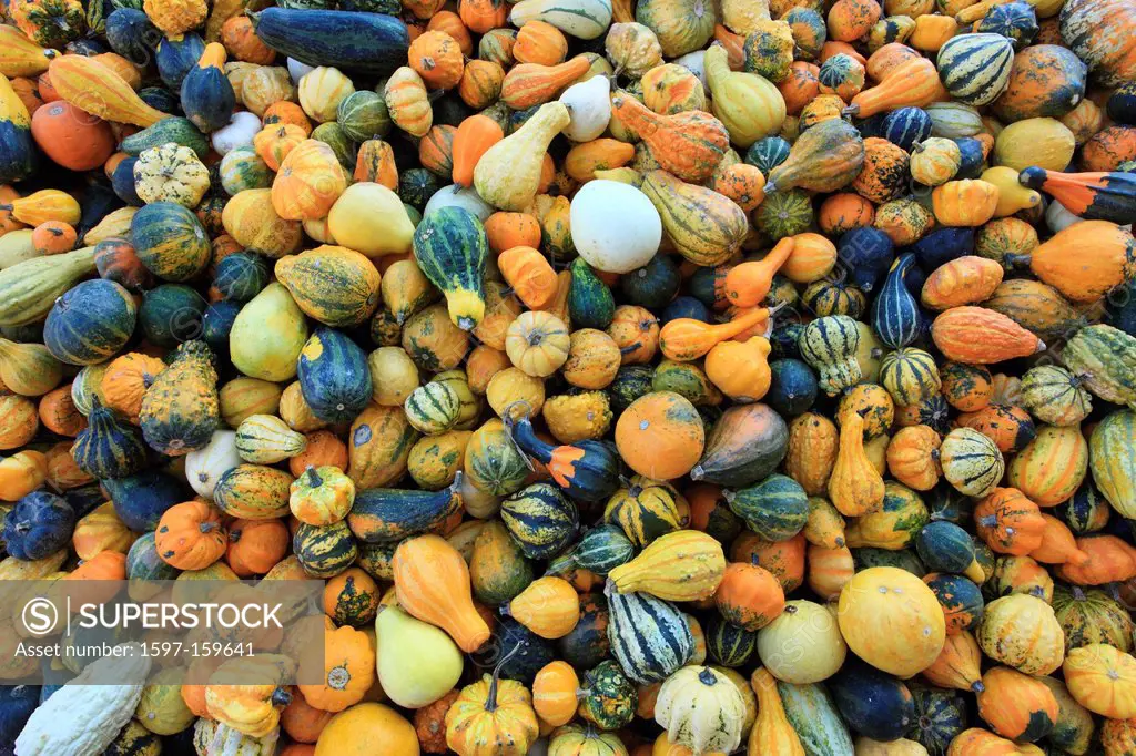 deco, decoration, detail, autumn, autumn color, autumn colors, pumpkin, pumpkins, macro, mass, many, close_up, Switzerland, Europe, Adorning, Ornament...