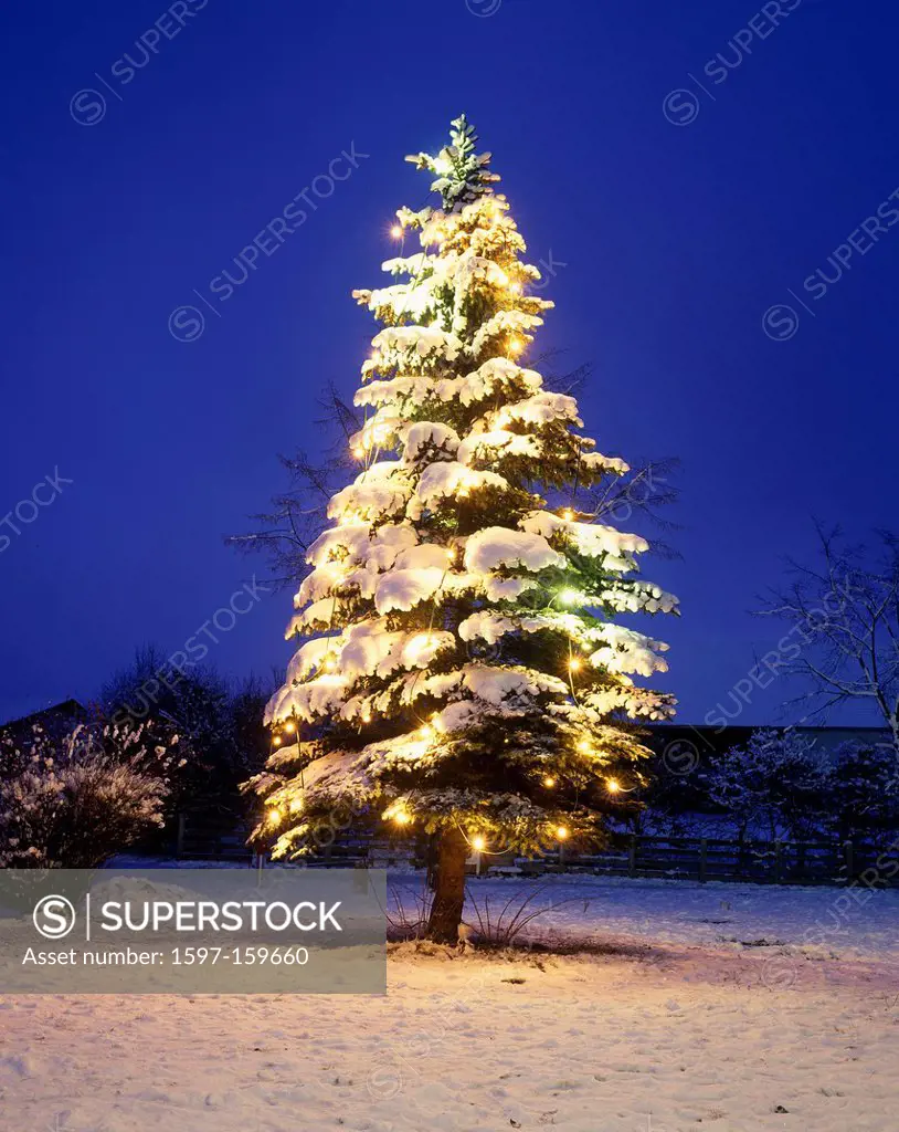 Austria, Europe, Tyrol, Mieming plateau, obsteig, Christmas tree, illumination, fir_tree, snow_covered, snowy, snow, high