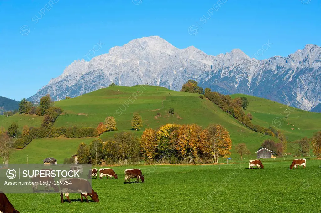 Salzburg country, Austria, Europe, outdoors, outside, day, autumn, autumnal, autumn colors, nobody, Pinzgau, scenery, nature, Alps, mountain, mountain...