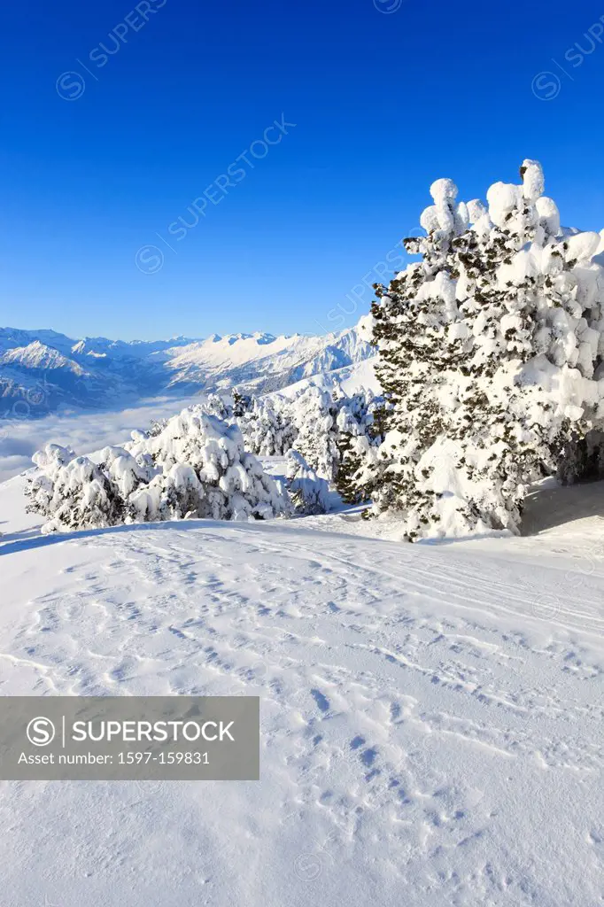 Alps, Alpine panorama, view, tree, mountain, mountains, mountain, mountain panorama, Bern, Bernese Alps, Bernese Oberland, trees, ice, cliff, spruce, ...