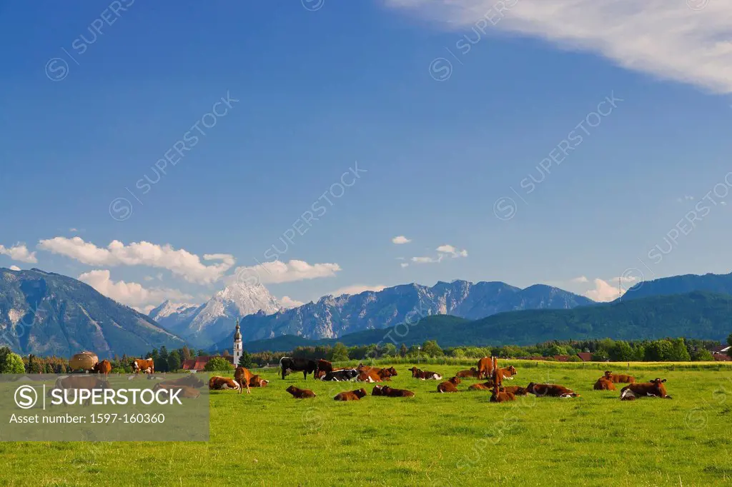 Bavaria, Upper Bavaria, Germany, Berchtesgaden country, Berchtesgaden, Saaldorf, sky, blue sky, Rupertiwinkl, church, steeple, village church, village...