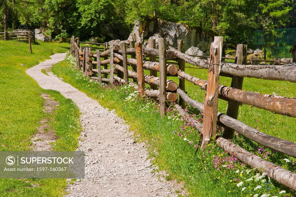 Germany, Bavaria, Berchtesgaden country, way, ways, hiking, walk, go, sidewalk, footpath, fence, road, Königsee, Obersee, alp, alp, pasture, willow, f...