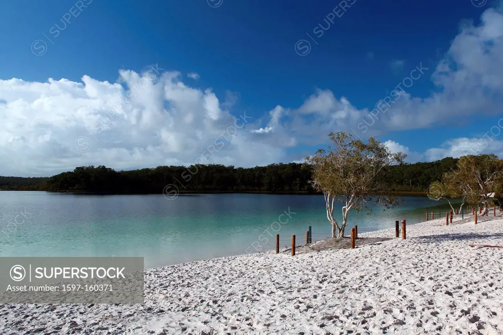 Lake McKenzie, lake, morning, water, beach, seashore, white, sand, turquoise, crystal clear, rest, tourism, ecotourism, sand island, island, Fraser Is...