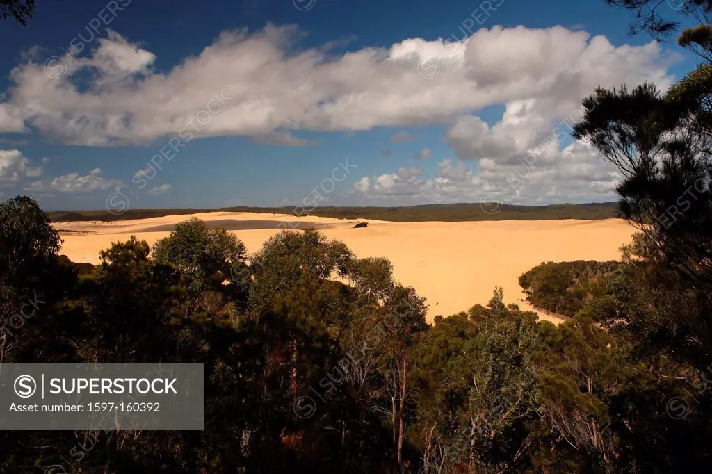 Sand dune, Sandblow, dune, sand, island, primeval forest, trees, Fraser Island, Queensland, Australia, view, edge out, wind, clouds