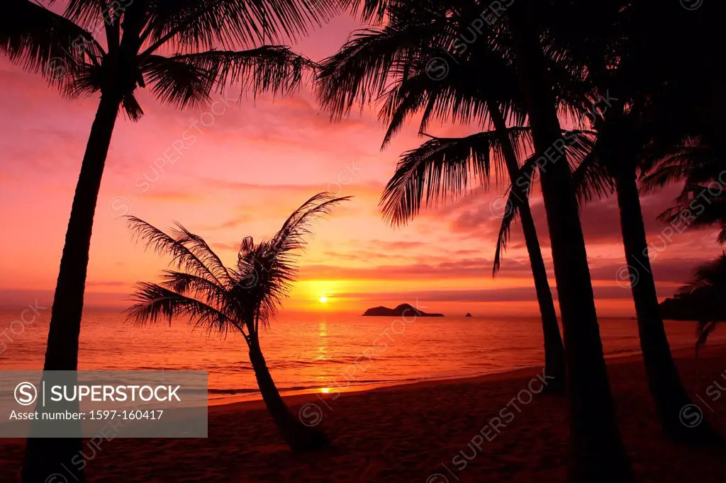 Ellis Beach, tropics, Beach, seashore, coast, palms, camping site, sea, waves, wind, sky, sun, vacation, holidays, rest, recover, Queensland, Australi...