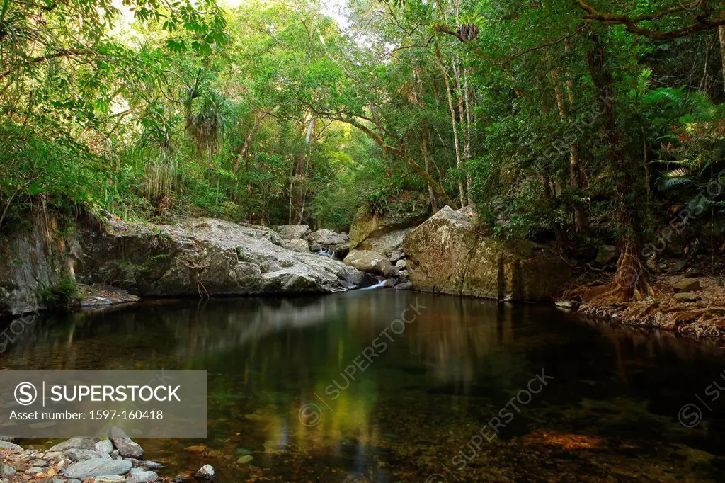 Stoney Creek, river, brook, water, waterfall, stones, primeval forest, rain forest, jungle, hiking, lonely, idyllic, Cairns, Queensland, Australia, ea...