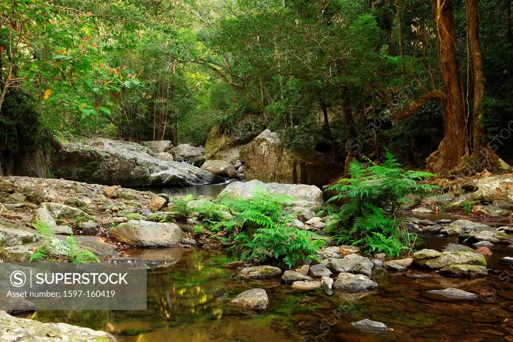 Stoney Creek, river, brook, water, waterfall, stones, primeval forest, rain forest, jungle, hiking, lonely, idyllic, Cairns, Queensland, Australia, ea...