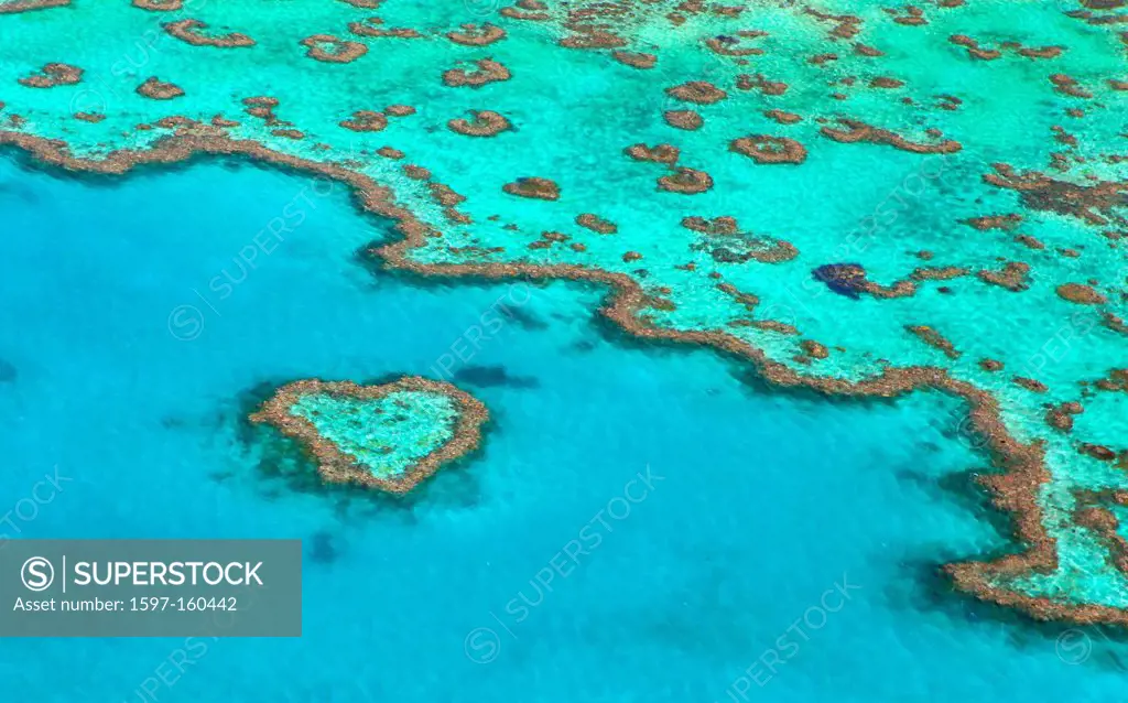 Heart Reef, Hardy Reef, Great Barrier Reef, nature, helicopter, Queensland, Australia, flight, Whitsunday Islands, reef, from above, flight, fly, swim...