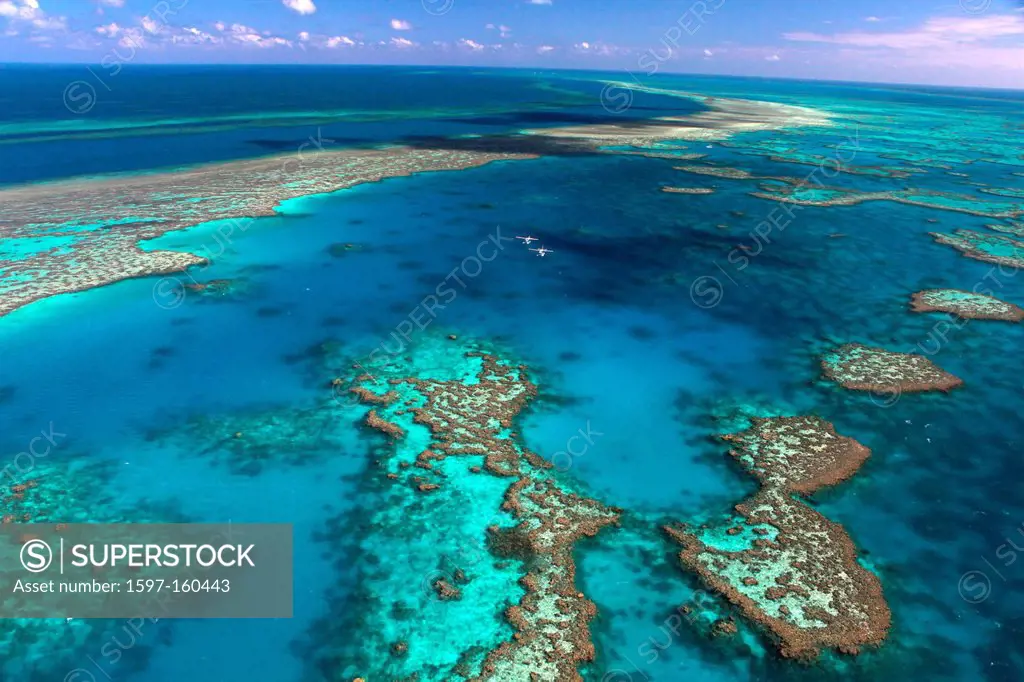 Hardy Reef, Great Barrier Reef, nature, helicopter, Queensland, Australia, flight, Whitsunday Islands, reef, from above, flight, fly, swim, Shute Harb...