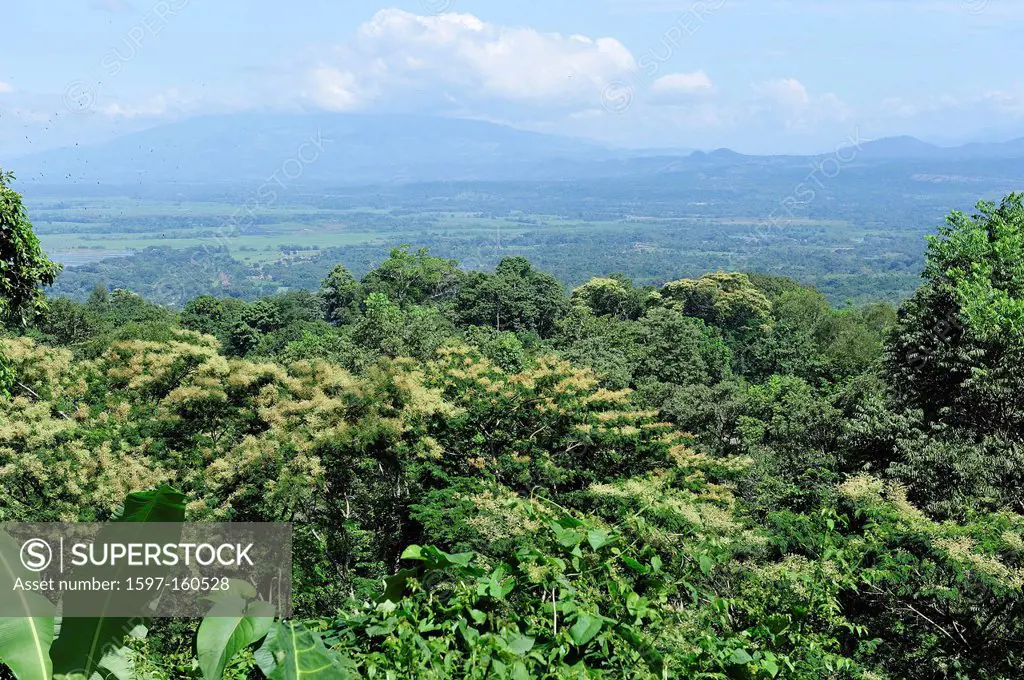View, Forest, Cascadas Pulhapanzak, Central America, Honduras, landscape, nature, jungle, green, tropical, valley