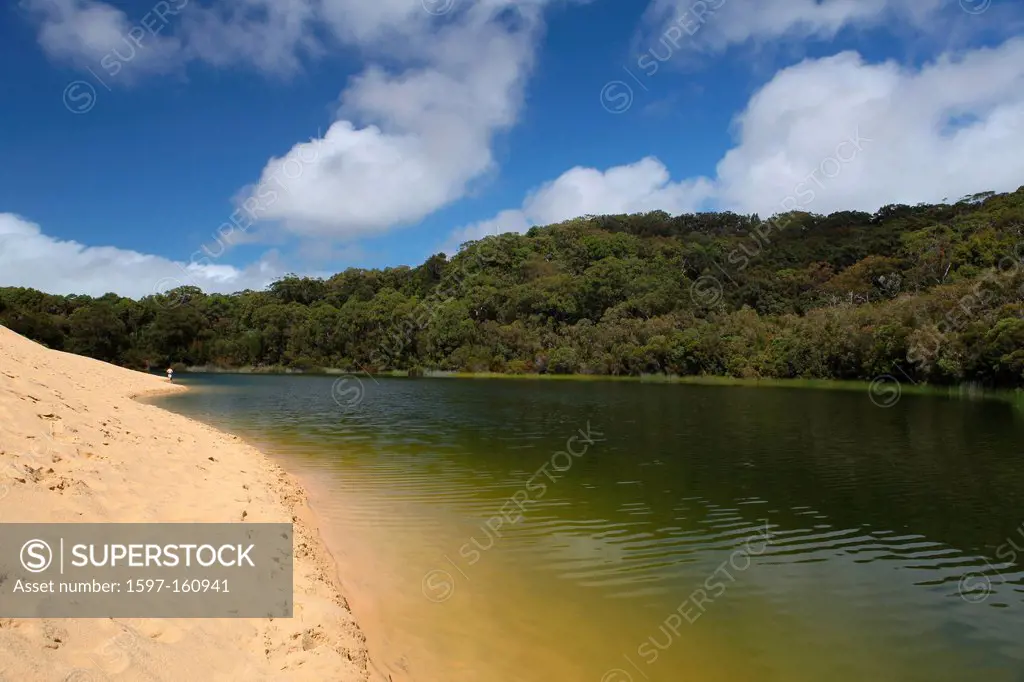 Lake Wabby, lake, dune, sand, sand dune, sea, rest, tourism, ecotourism, sand island, island, Fraser Island, Queensland, east coast, Australia, swimmi...