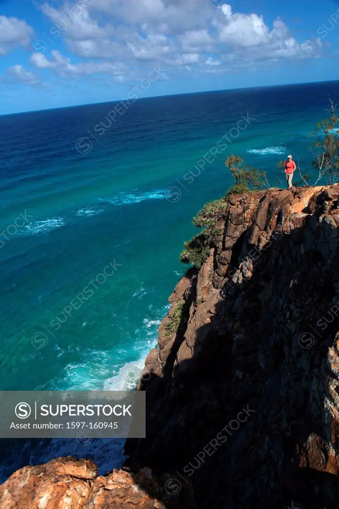 Indian Head, east coast, Fraser Island, cliff, high, sea, whales, dolphin, dolphin, cliff, abyss, turquoise, view, Queensland, Australia, tourism, att...