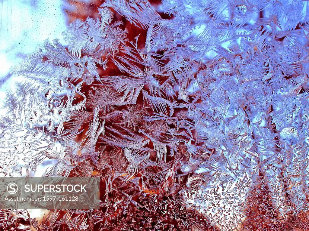 Frost flowers, snowy stars, winters, cold, ice_crystals, hoarfrost