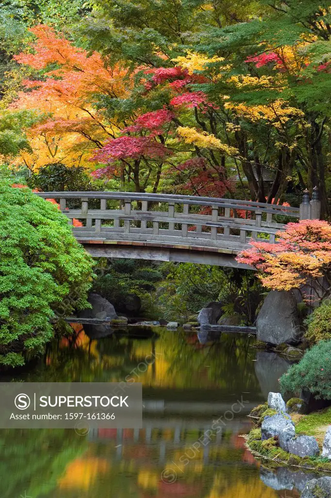 garden, Oregon, USA, United States, America, Portland, Japanese Garden, Portland Japanese Garden, fall, water, structure, bridge, pond, maples, moon b...